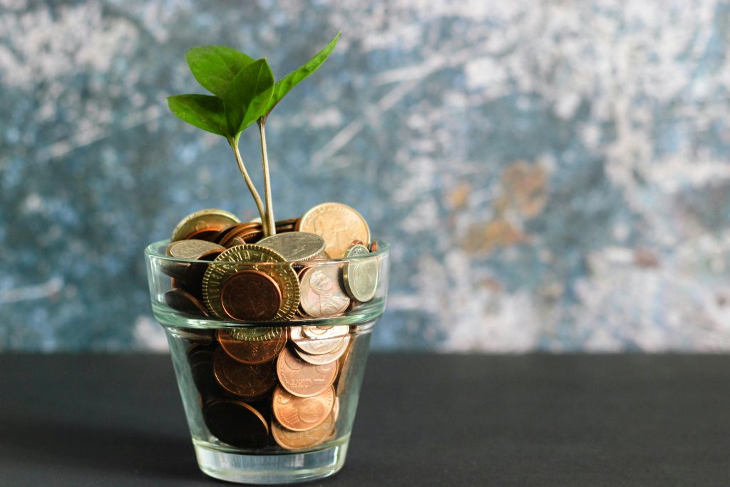 Green shoot growing out of a cup of coins